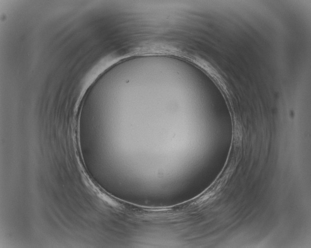 X0000067351486200604030921