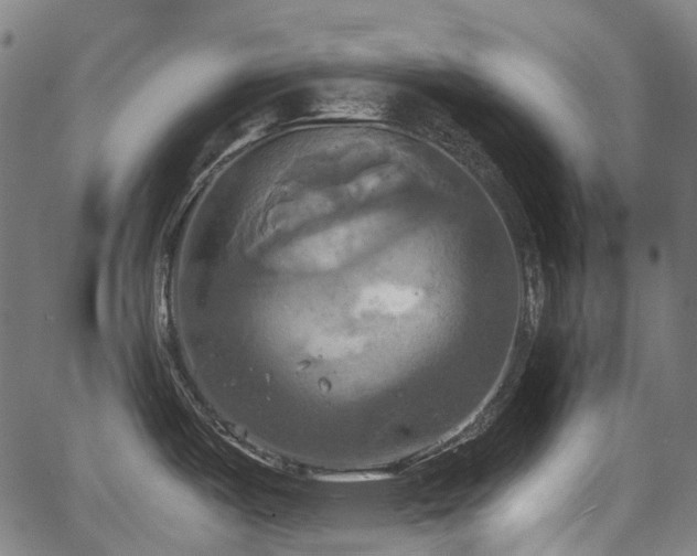 X0000067351487200604030921