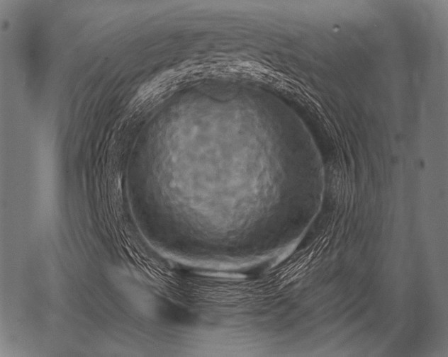 X0000067351489200604030921