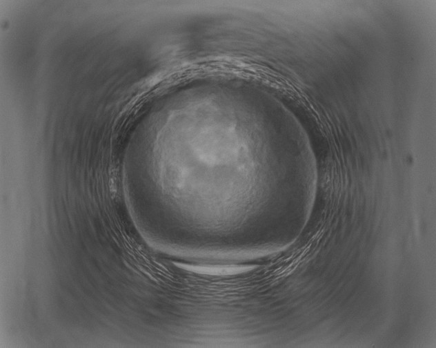 X0000067351490200604030921