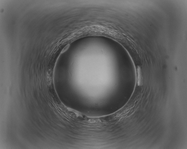 X0000067351491200604030921