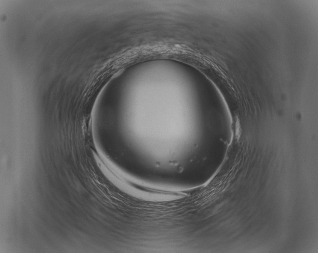 X0000067351492200604030921