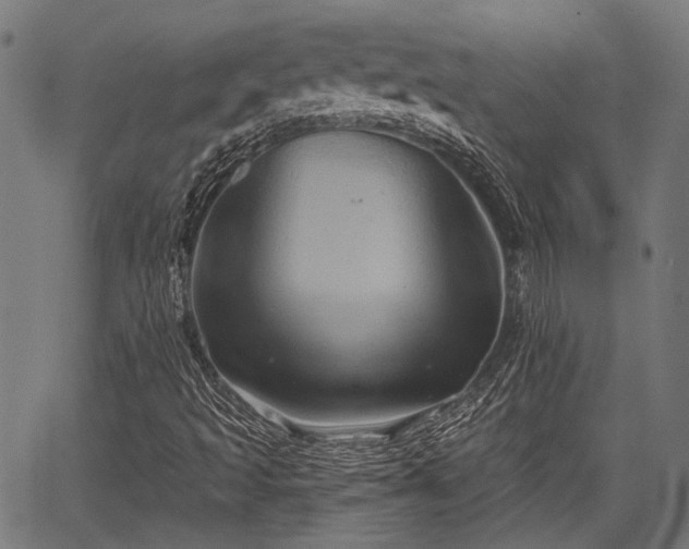 X0000067351493200604030921