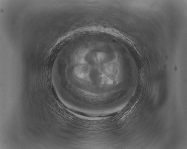 X0000067351494200604030921