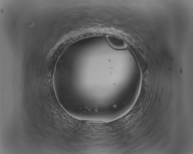 X0000067351495200604030921