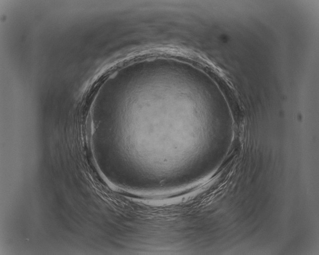 X0000067351496200604030921