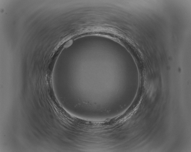 X0000067351497200604030921