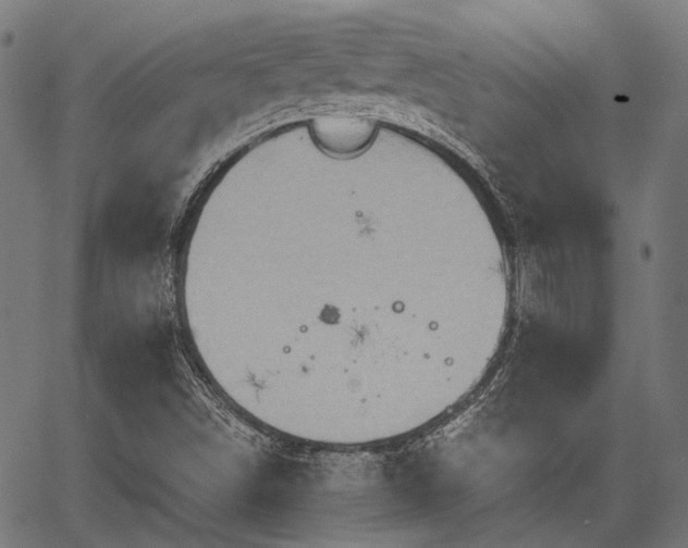 X0000067351498200604030921