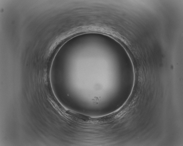 X0000067351499200604030921