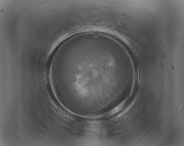 X0000067351501200604030921