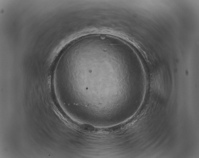 X0000067351503200604030921