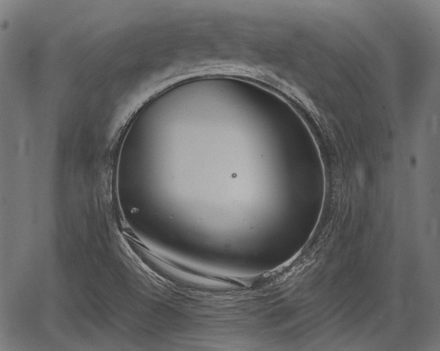 X0000067351504200604030921