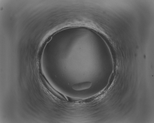 X0000067351506200604030921