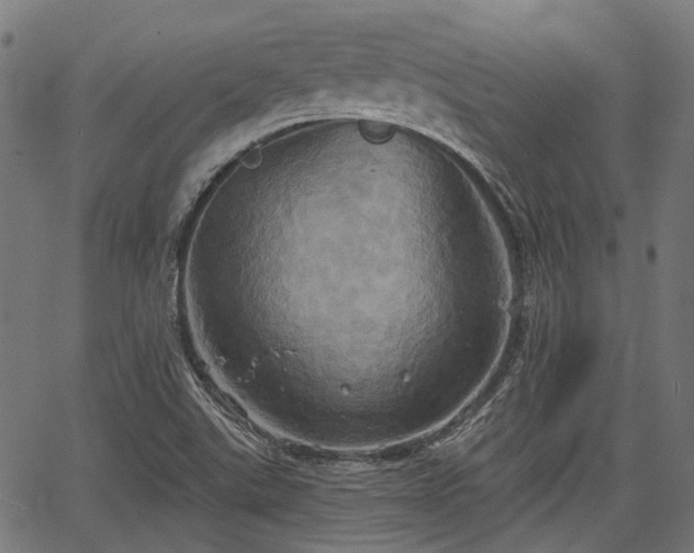 X0000067351507200604030921