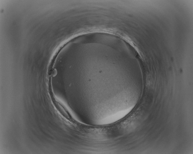 X0000067351508200604030921