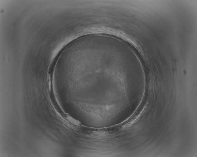 X0000067351509200604030921