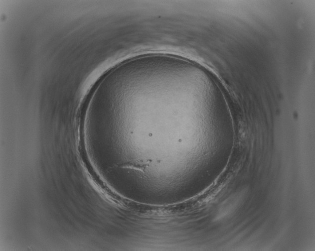 X0000067351511200604030921