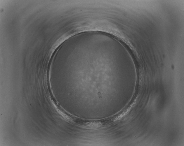 X0000067351513200604030921