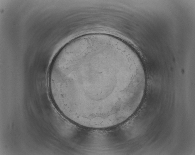 X0000067351514200604030921