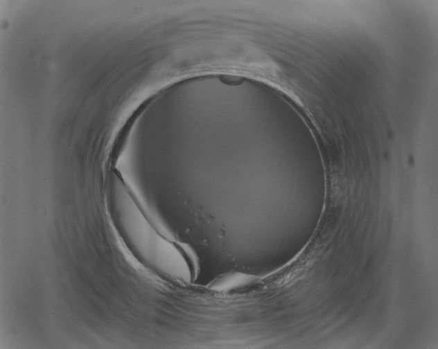 X0000067351515200604030921