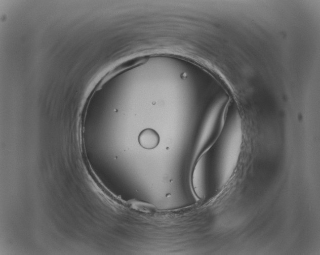 X0000067351516200604030921