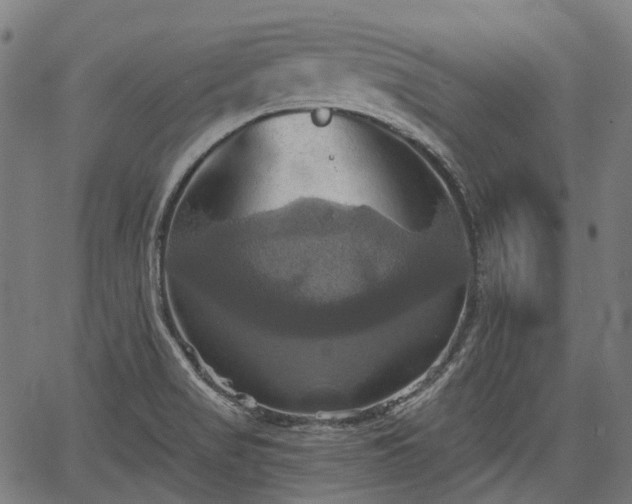 X0000067351517200604030921