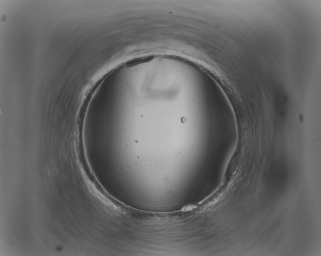 X0000067351518200604030921