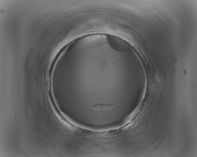 X0000067351519200604030921