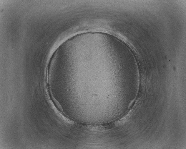 X0000067351520200604030921