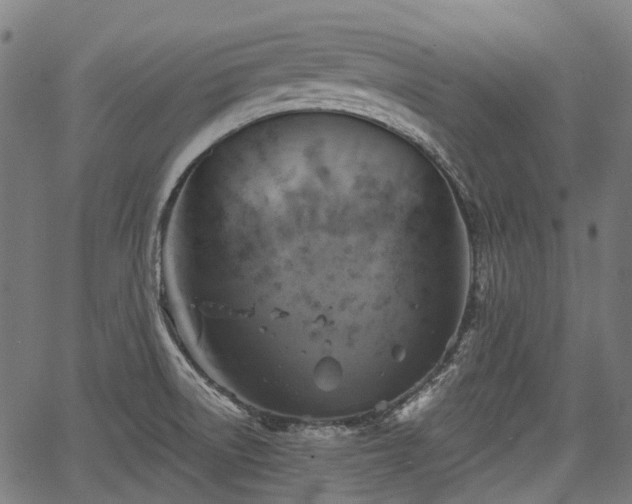 X0000067351522200604030921