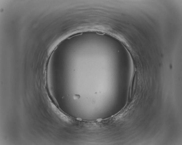 X0000067351524200604030921