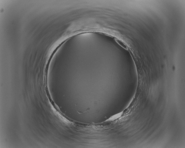 X0000067351527200604030921