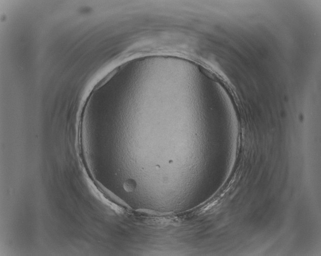 X0000067351528200604030921