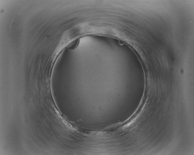 X0000067351529200604030921