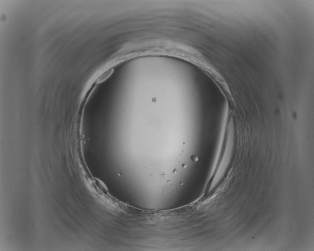 X0000067351530200604030921