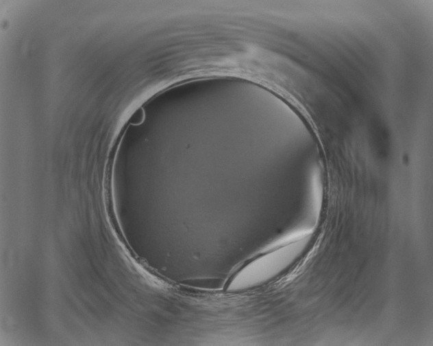 X0000067351533200604030921