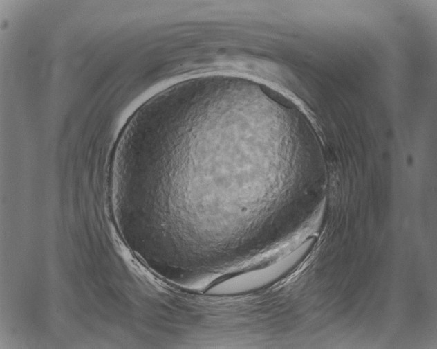 X0000067351534200604030921