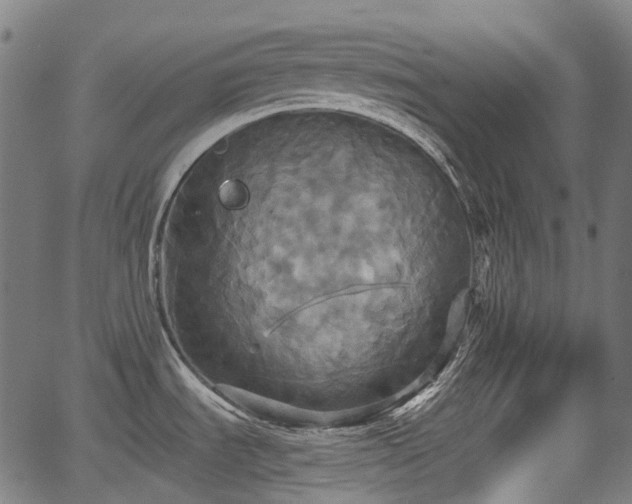 X0000067351535200604030921