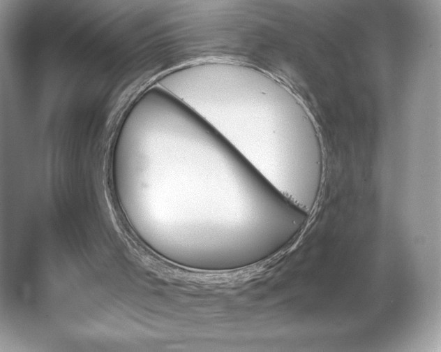 X0000067350001200604071437