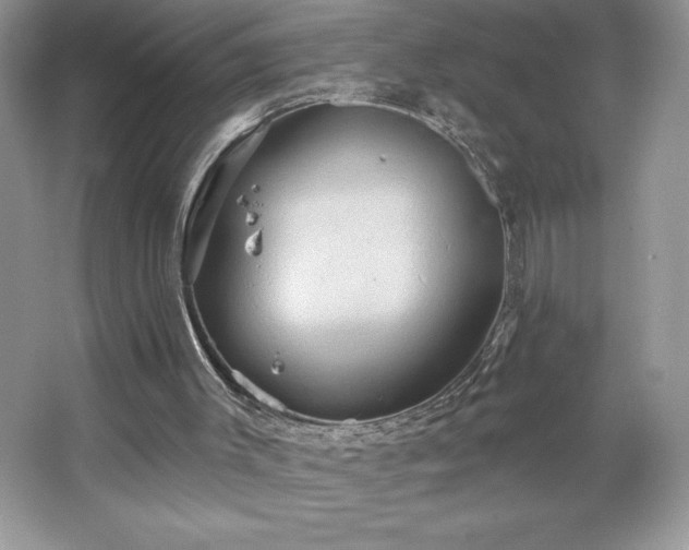 X0000067350003200604071437