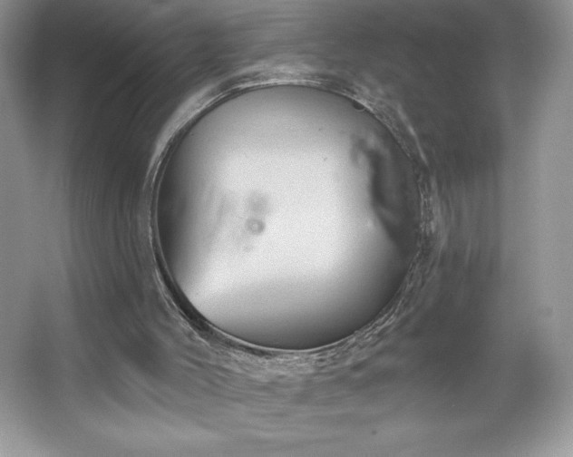 X0000067350004200604071437