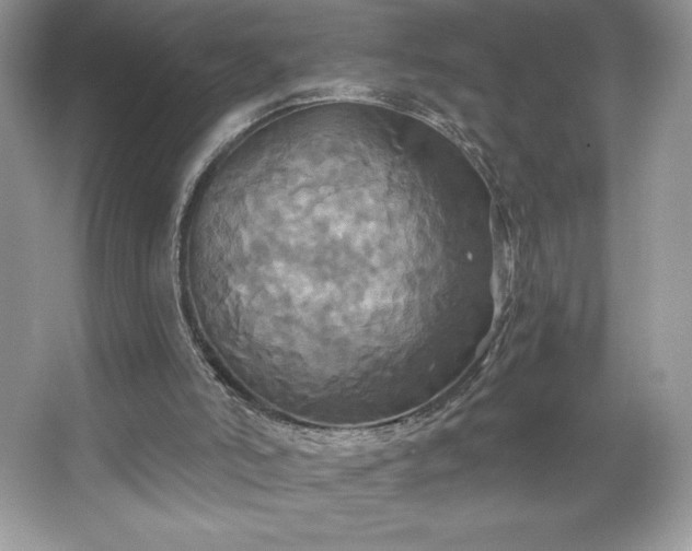 X0000067350006200604071437