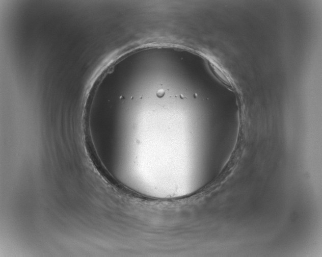 X0000067350007200604071437