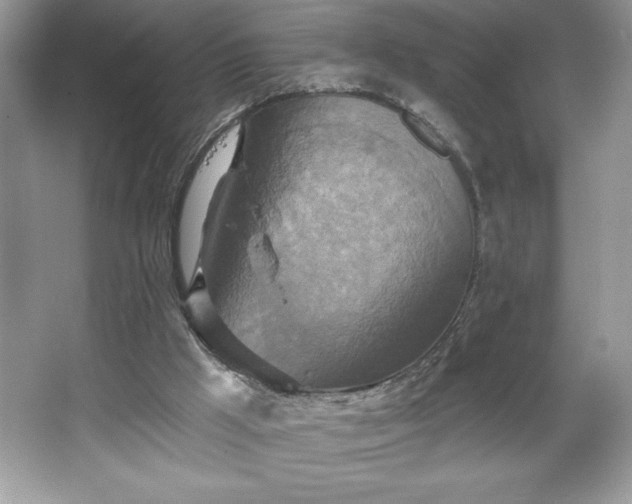 X0000067350009200604071437