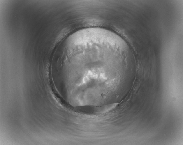 X0000067350010200604071437