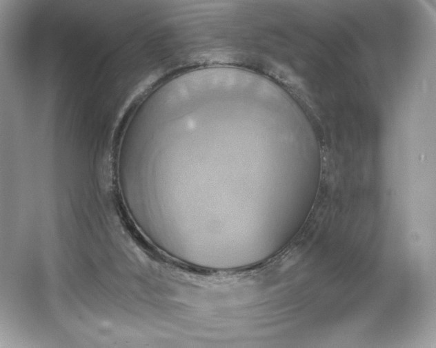 X0000067350012200604071437