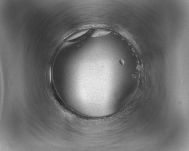 X0000067350013200604071437