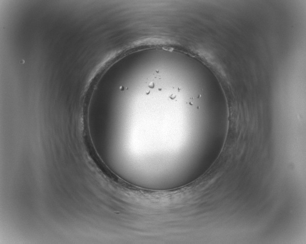 X0000067350015200604071437