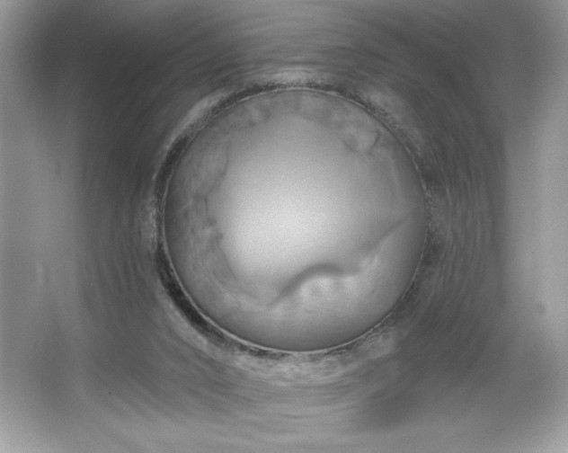 X0000067350016200604071437