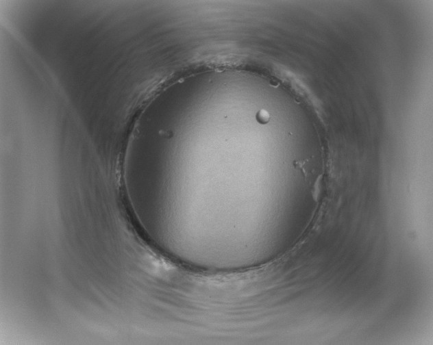 X0000067350017200604071437